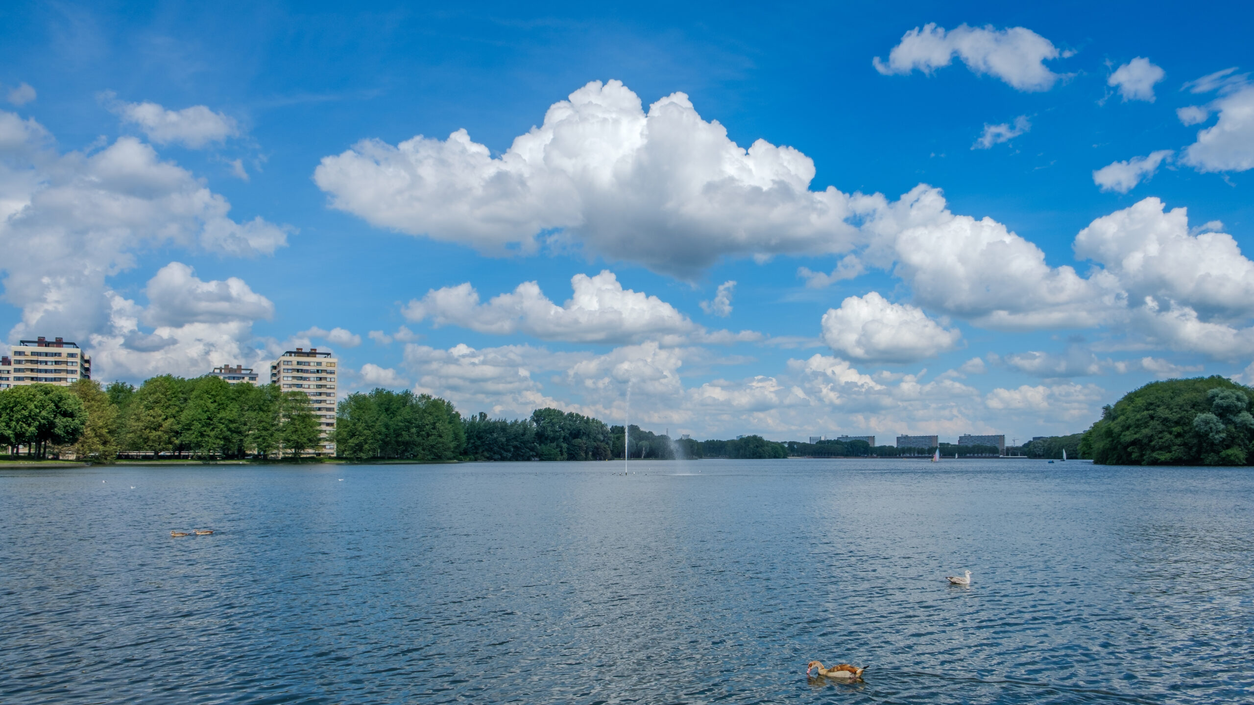 Handen uit de mouwen in de Couperusbuurt – samen werken aan het eerste Buurtrondje