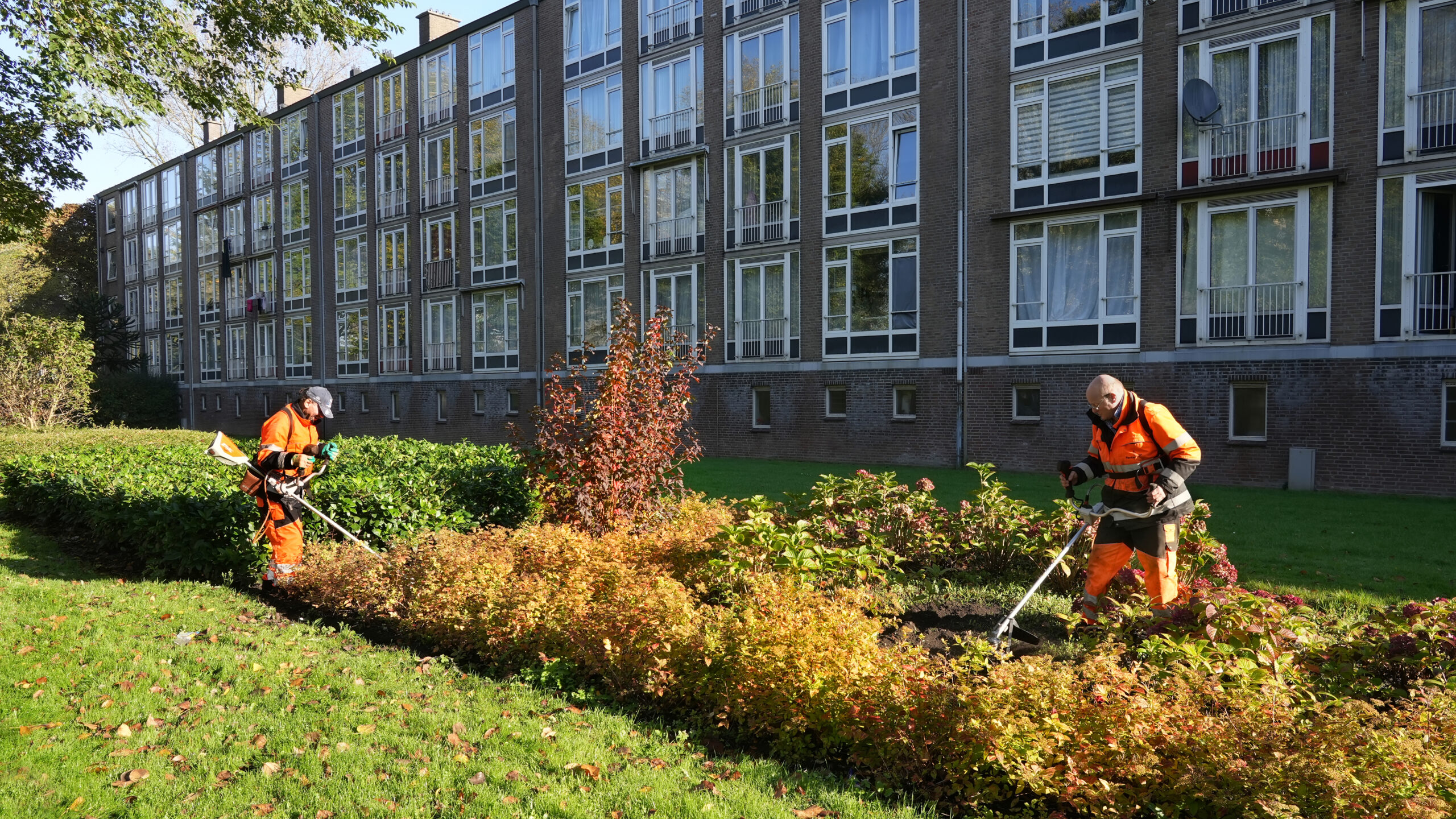 Wijkalliantie Lodewijk van Deysselbuurt: samen stap voor stap